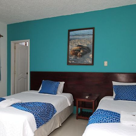 Hotel La Gran Tortuga - ᯤ Starlink بْوُرتو فيلاميل المظهر الخارجي الصورة