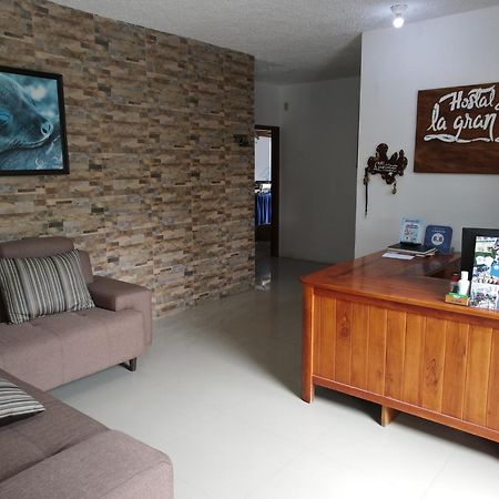 Hotel La Gran Tortuga - ᯤ Starlink بْوُرتو فيلاميل المظهر الخارجي الصورة