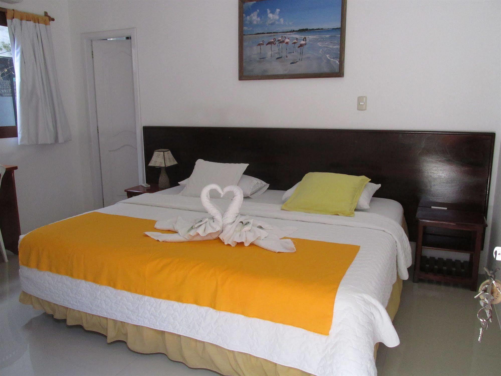 Hotel La Gran Tortuga - ᯤ Starlink بْوُرتو فيلاميل المظهر الخارجي الصورة
