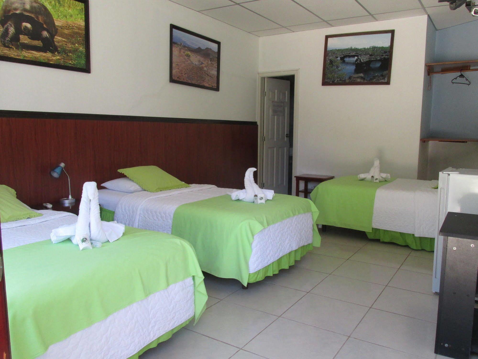 Hotel La Gran Tortuga - ᯤ Starlink بْوُرتو فيلاميل المظهر الخارجي الصورة